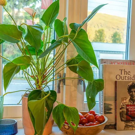 Aurora - Parking - Near Centrum Tromsø