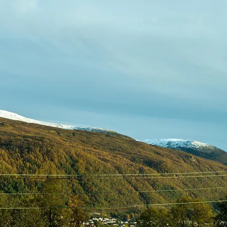 Villa Aurora - Parking - Near Centrum