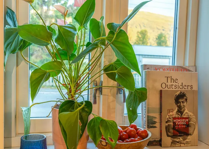 Aurora - Parking - Near Centrum Tromsø