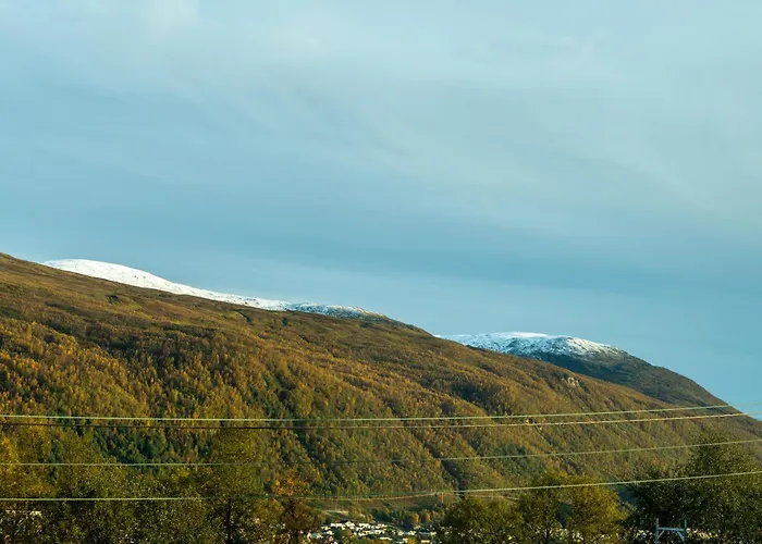 Villa Aurora - Parking - Near Centrum